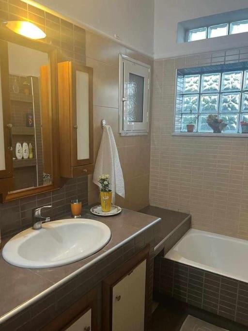 Το Σπίτι Του Μύλου Των Ξωτικών Villa Tríkala Екстериор снимка